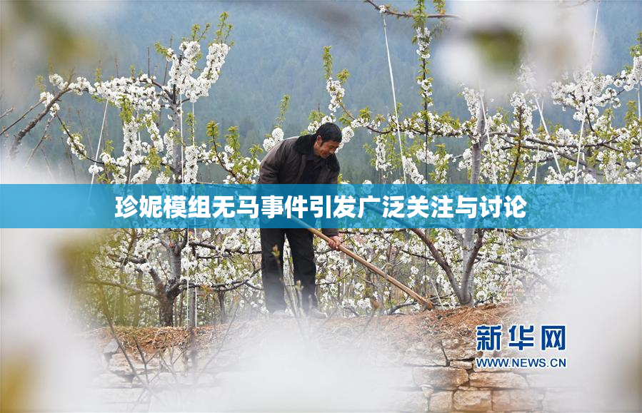 珍妮模组无马事件引发广泛关注与讨论