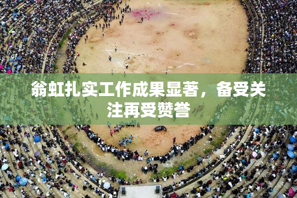 翁虹扎实工作成果显著，备受关注再受赞誉