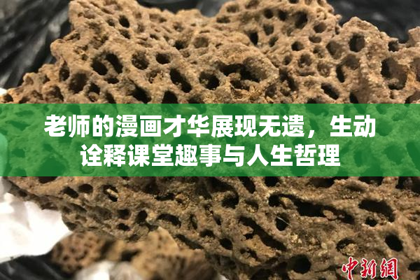 老师的漫画才华展现无遗，生动诠释课堂趣事与人生哲理