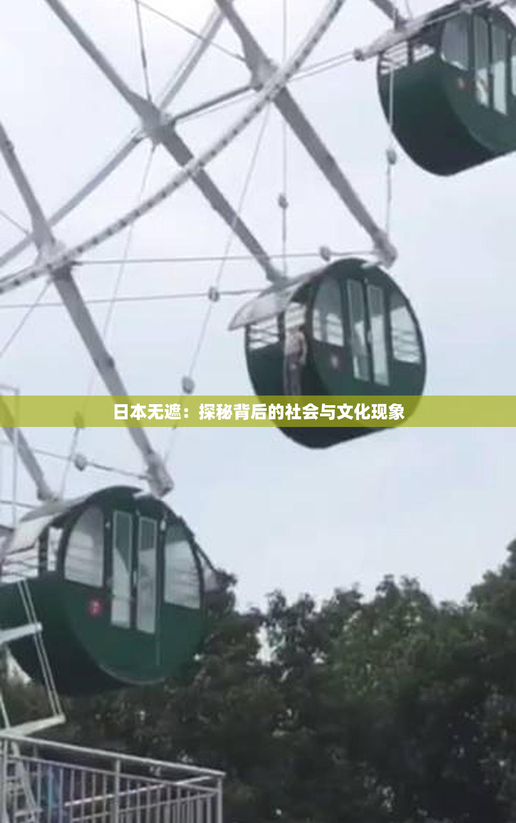 日本无遮：探秘背后的社会与文化现象