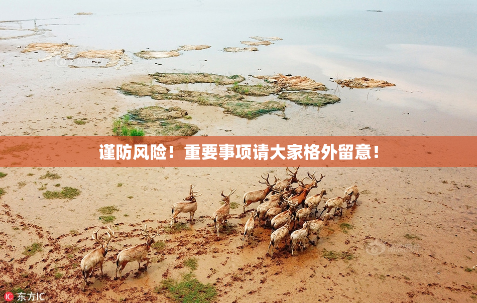 谨防风险！重要事项请大家格外留意！