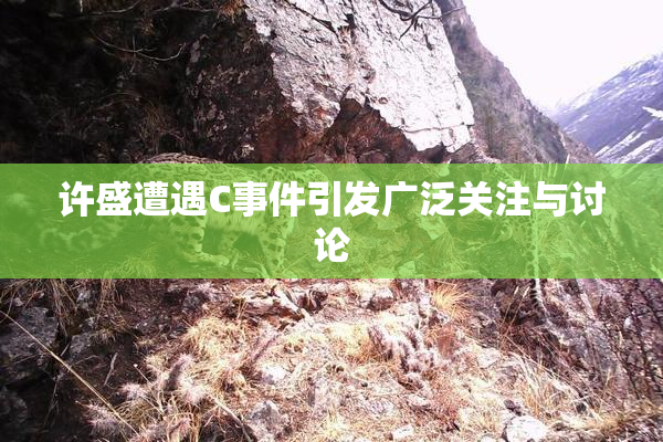 许盛遭遇C事件引发广泛关注与讨论