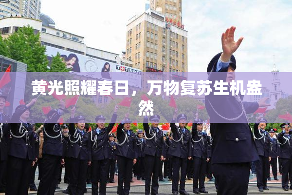 黄光照耀春日，万物复苏生机盎然