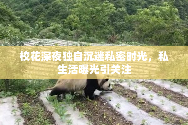 校花深夜独自沉迷私密时光，私生活曝光引关注