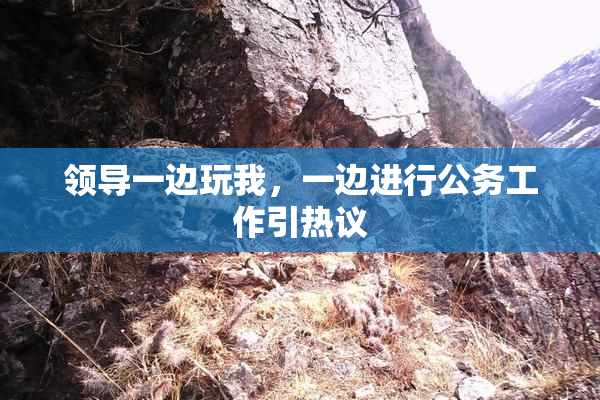 领导一边玩我，一边进行公务工作引热议