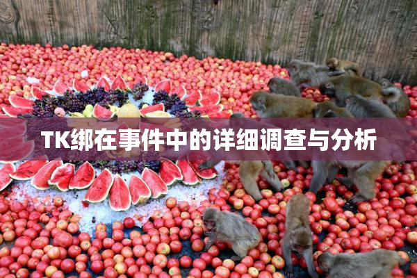 TK绑在事件中的详细调查与分析