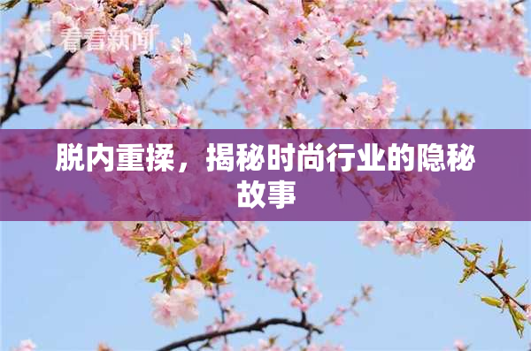 脱内重揉，揭秘时尚行业的隐秘故事