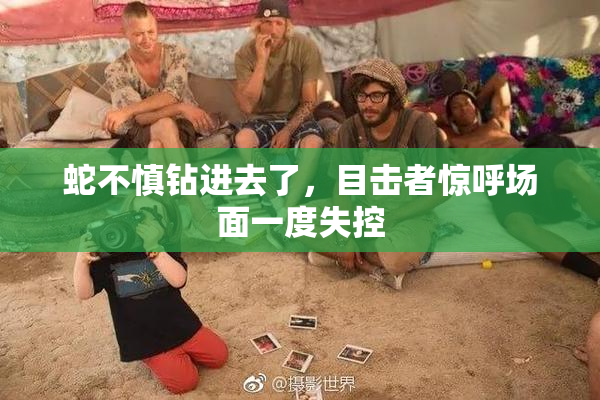蛇不慎钻进去了，目击者惊呼场面一度失控