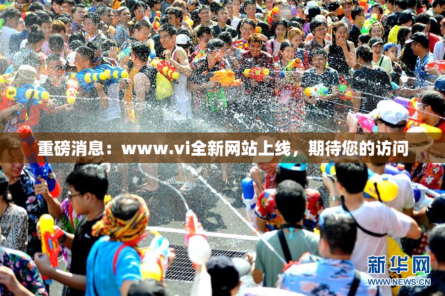 重磅消息：www.vi全新网站上线，期待您的访问