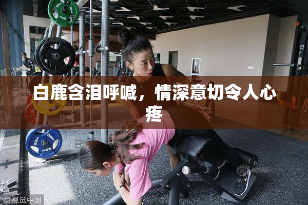 白鹿含泪呼喊，情深意切令人心疼