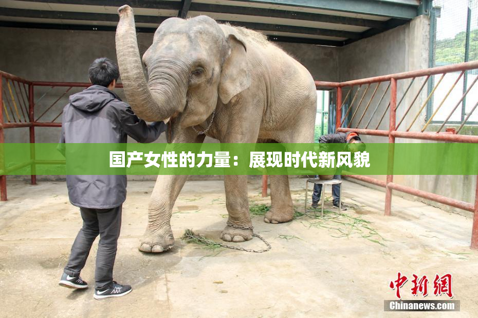 国产女性的力量：展现时代新风貌