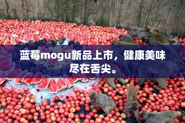 蓝莓mogu新品上市，健康美味尽在舌尖。