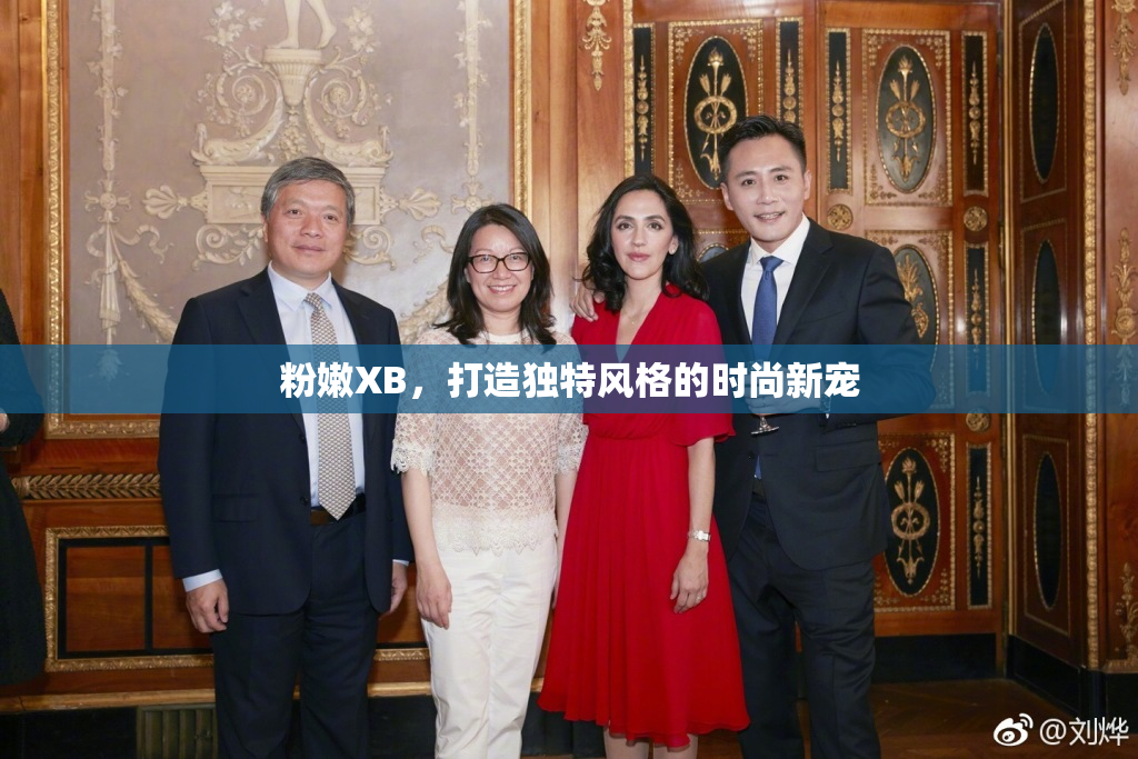 粉嫩XB，打造独特风格的时尚新宠