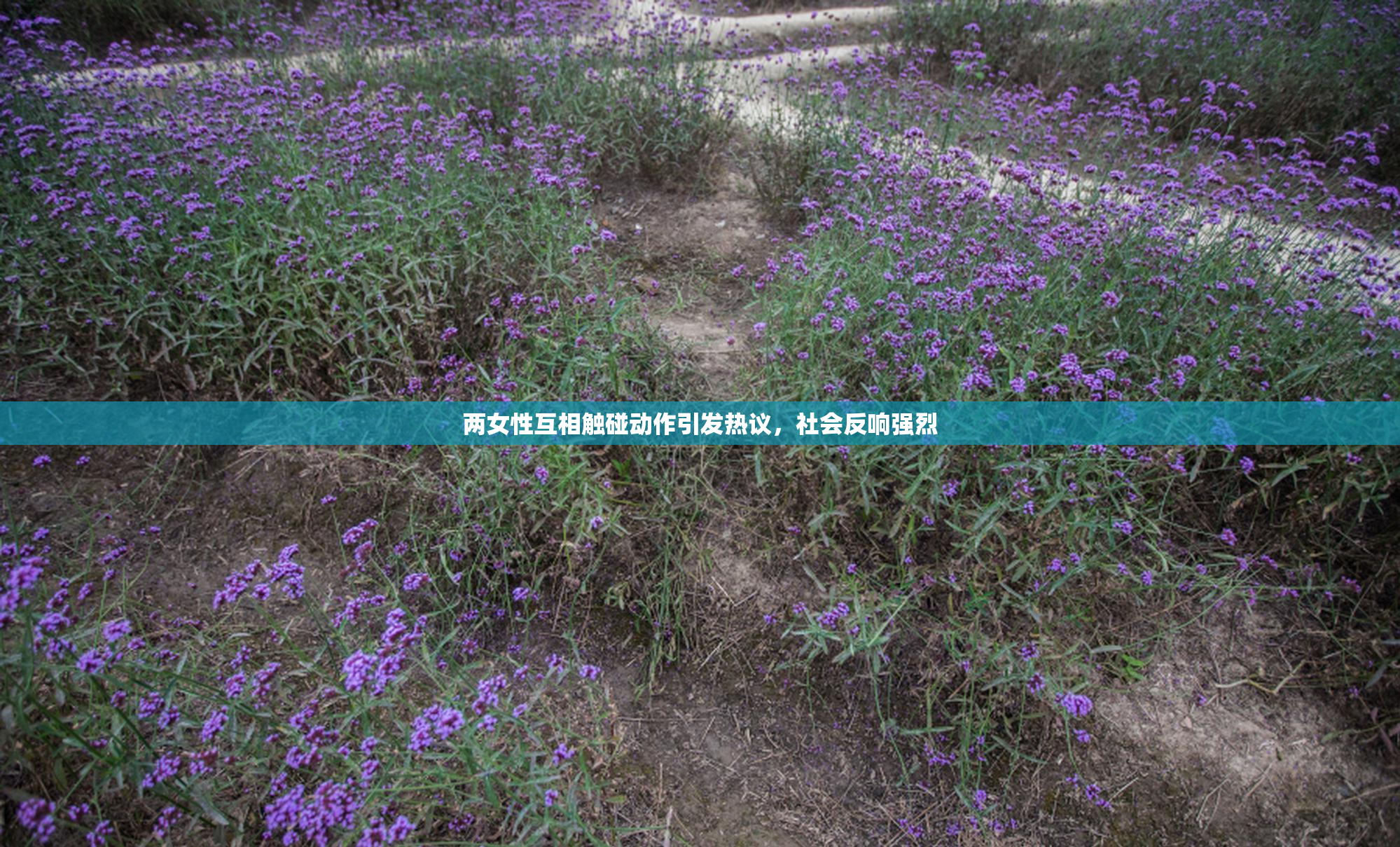 两女性互相触碰动作引发热议，社会反响强烈