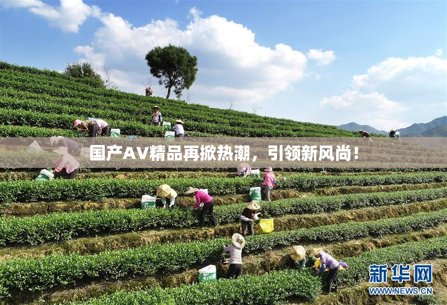 国产AV精品再掀热潮，引领新风尚！