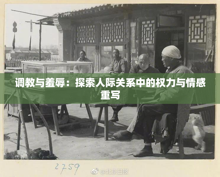 调教与羞辱：探索人际关系中的权力与情感重写