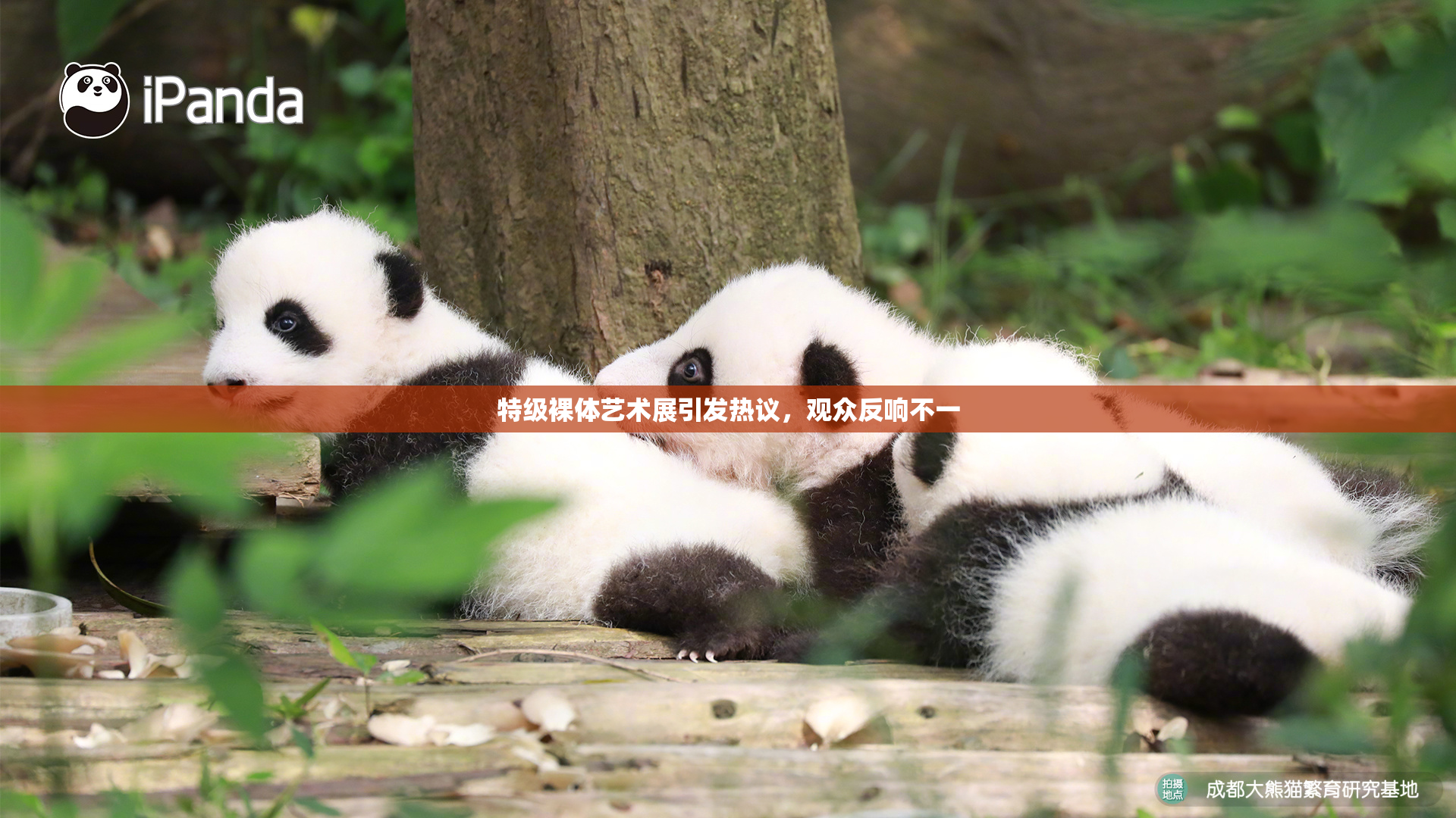 特级裸体艺术展引发热议，观众反响不一