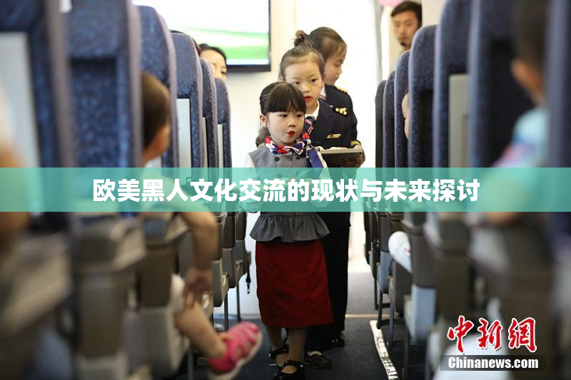 欧美黑人文化交流的现状与未来探讨