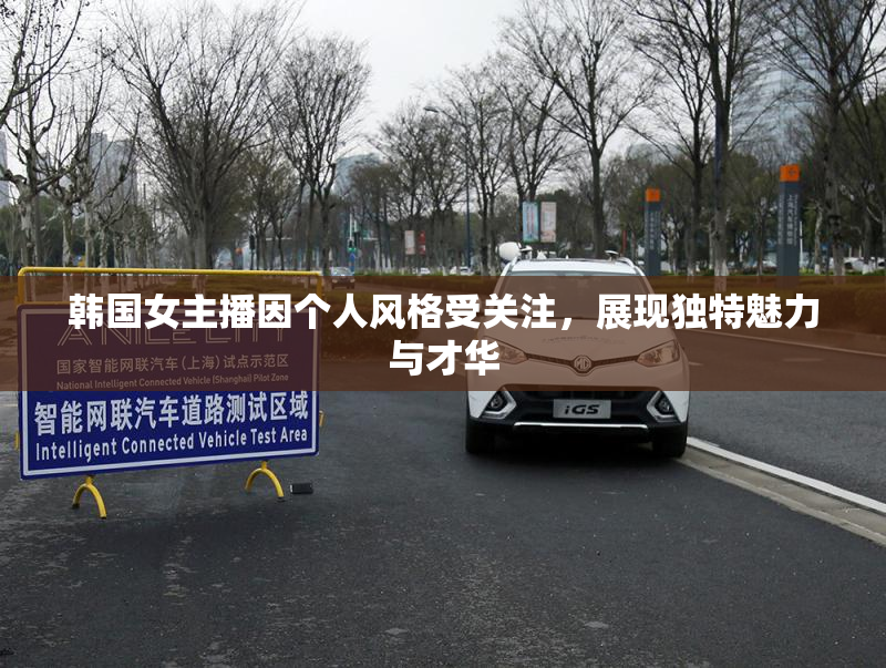 韩国女主播因个人风格受关注，展现独特魅力与才华
