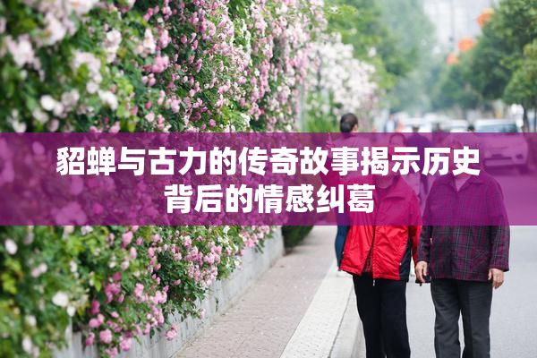 貂蝉与古力的传奇故事揭示历史背后的情感纠葛