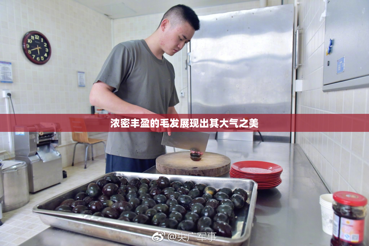 浓密丰盈的毛发展现出其大气之美