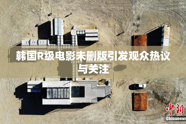 韩国R级电影未删版引发观众热议与关注
