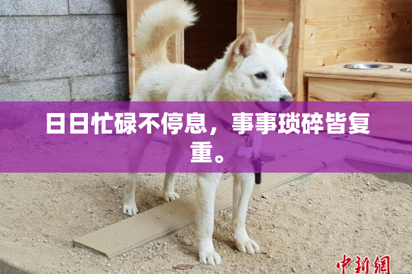 日日忙碌不停息，事事琐碎皆复重。