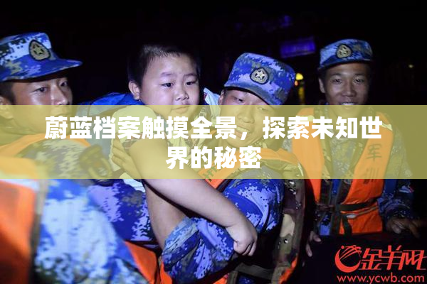 蔚蓝档案触摸全景，探索未知世界的秘密