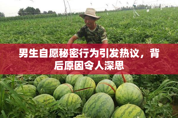 男生自愿秘密行为引发热议，背后原因令人深思