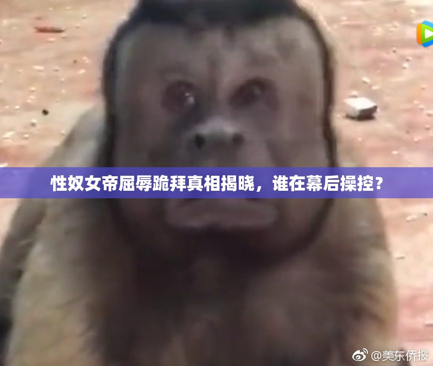 性奴女帝屈辱跪拜真相揭晓，谁在幕后操控？