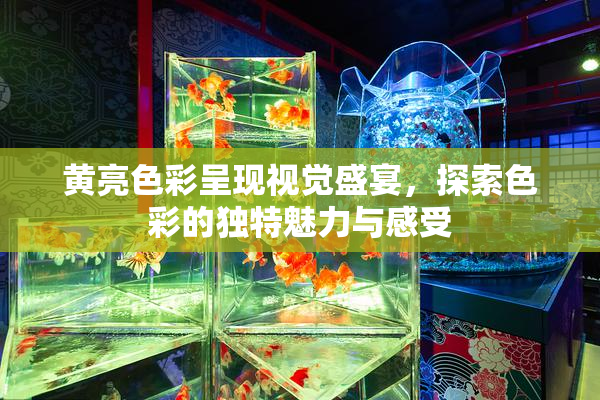 黄亮色彩呈现视觉盛宴，探索色彩的独特魅力与感受