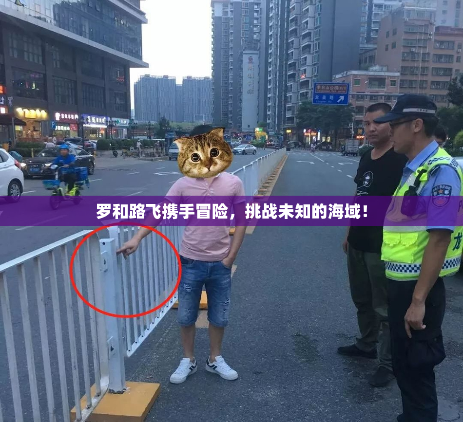 罗和路飞携手冒险，挑战未知的海域！