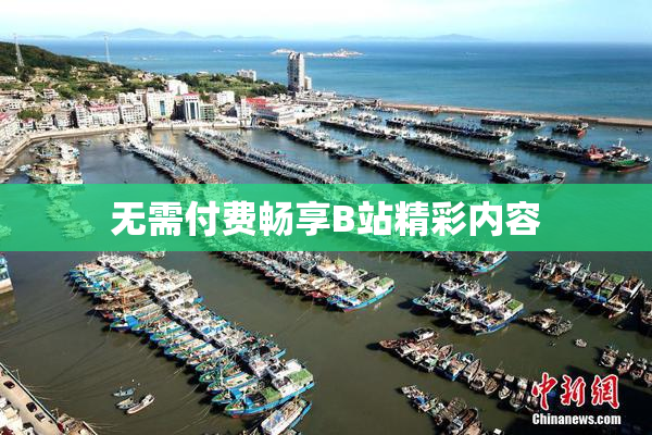 无需付费畅享B站精彩内容