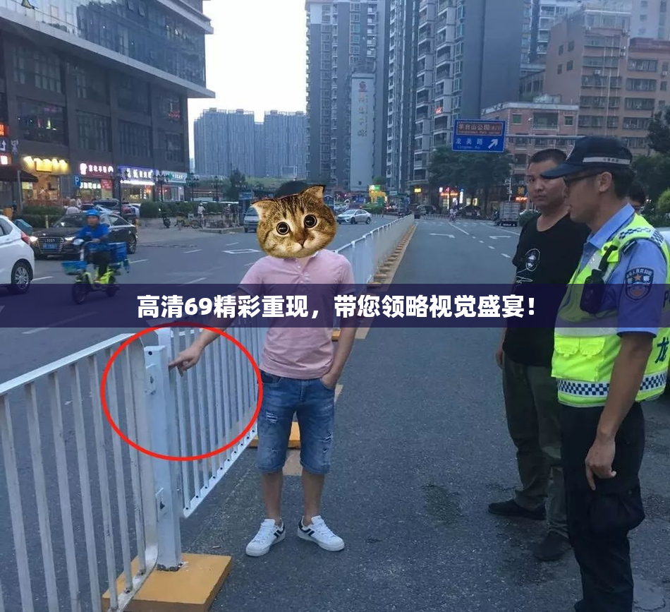 高清69精彩重现，带您领略视觉盛宴！