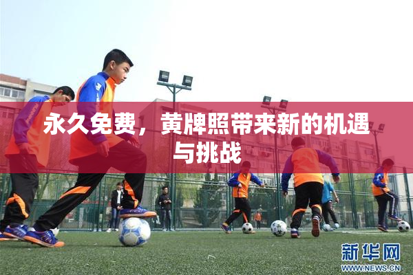 永久免费，黄牌照带来新的机遇与挑战