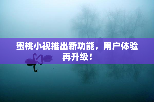 蜜桃小视推出新功能，用户体验再升级！