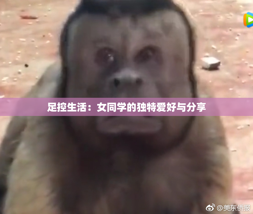 足控生活：女同学的独特爱好与分享