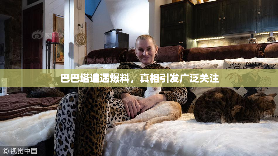 巴巴塔遭遇爆料，真相引发广泛关注