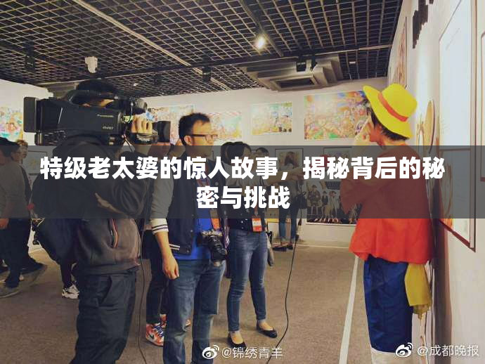 特级老太婆的惊人故事，揭秘背后的秘密与挑战