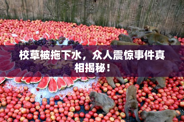 校草被拖下水，众人震惊事件真相揭秘！