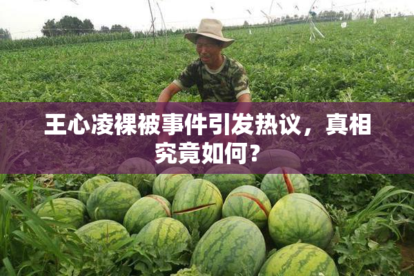 王心凌裸被事件引发热议，真相究竟如何？