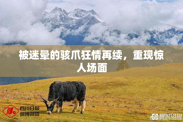 被迷晕的骇爪狂情再续，重现惊人场面