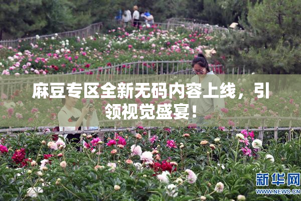 麻豆专区全新无码内容上线，引领视觉盛宴！