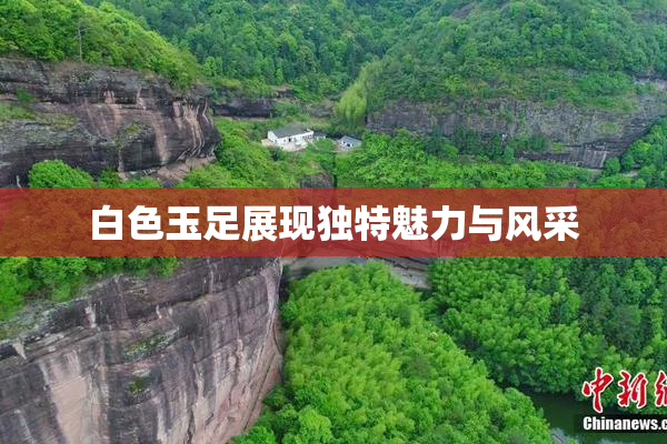 白色玉足展现独特魅力与风采