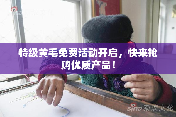 特级黄毛免费活动开启，快来抢购优质产品！