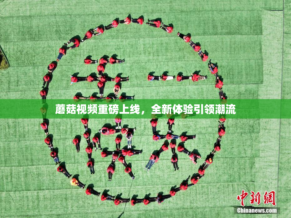 蘑菇视频重磅上线，全新体验引领潮流