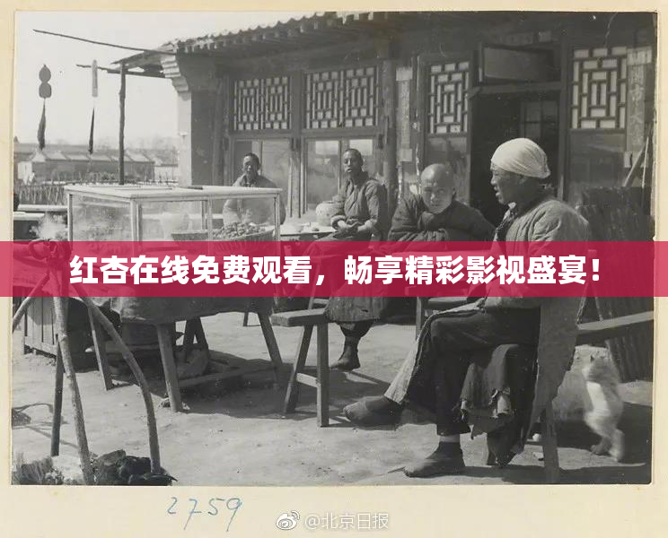 红杏在线免费观看，畅享精彩影视盛宴！