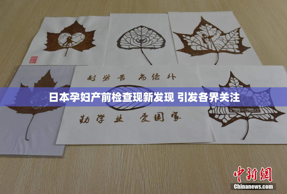 日本孕妇产前检查现新发现 引发各界关注