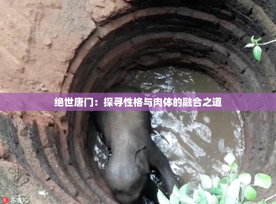 绝世唐门：探寻性格与肉体的融合之道