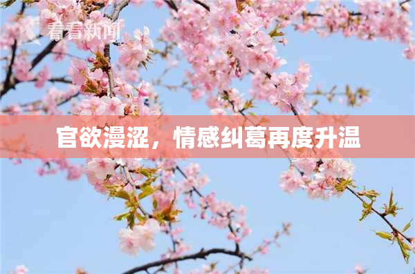官欲漫涩，情感纠葛再度升温